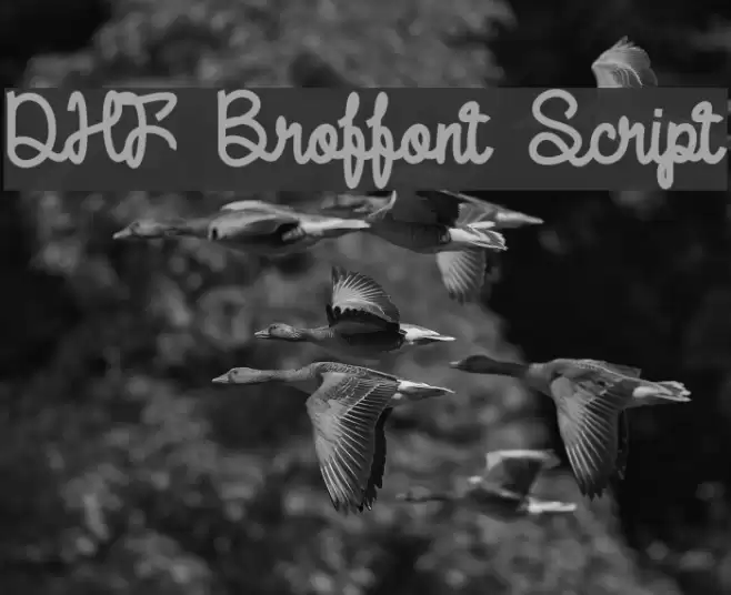 DHF Broffont Script Font examples