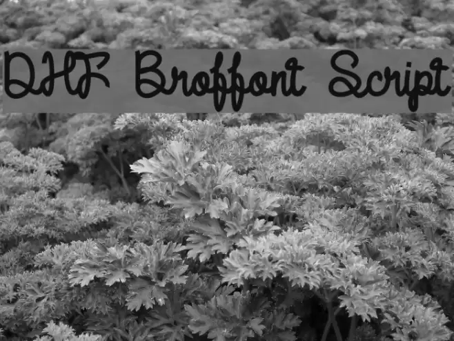 DHF Broffont Script Font examples