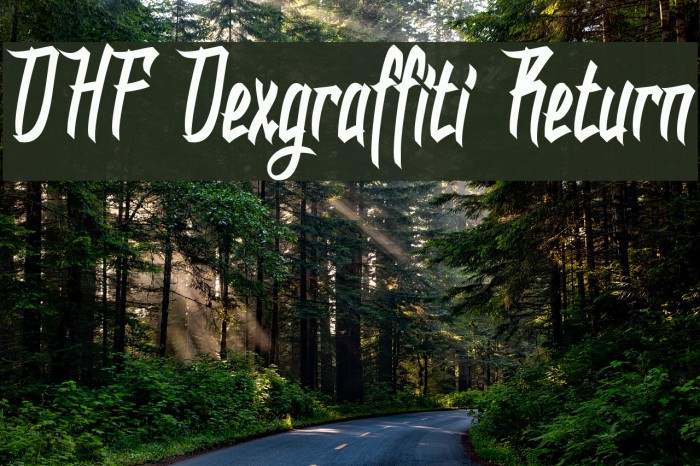 DHF Dexgraffiti Return Example 3