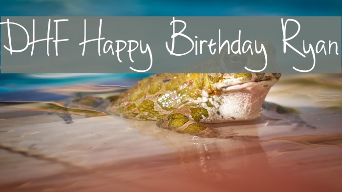 DHF Happy Birthday Ryan Font examples