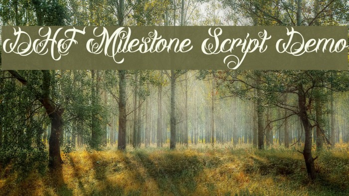 DHF Milestone Script Demo 字体 examples