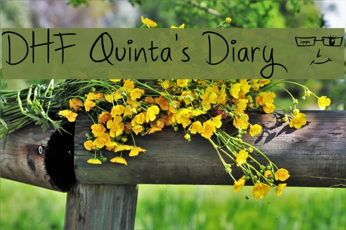 DHF Quinta's Diary @ Font examples