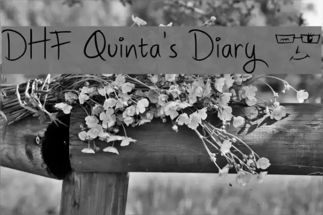 DHF Quinta's Diary @ フォント examples