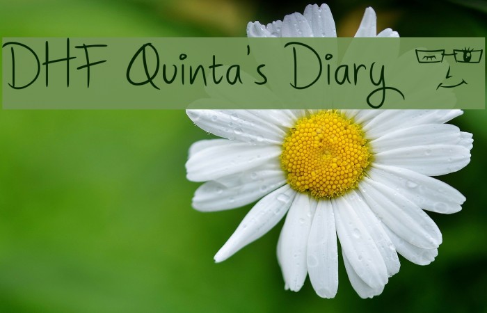 DHF Quinta's Diary @ Font examples