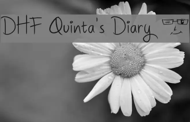 DHF Quinta's Diary @ フォント examples