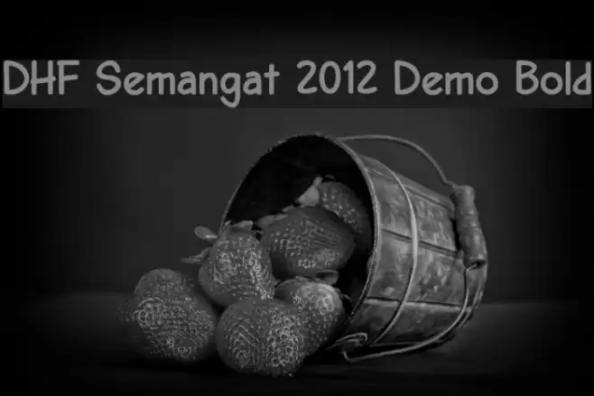 DHF Semangat 2012 Demo Bold Schriftart examples