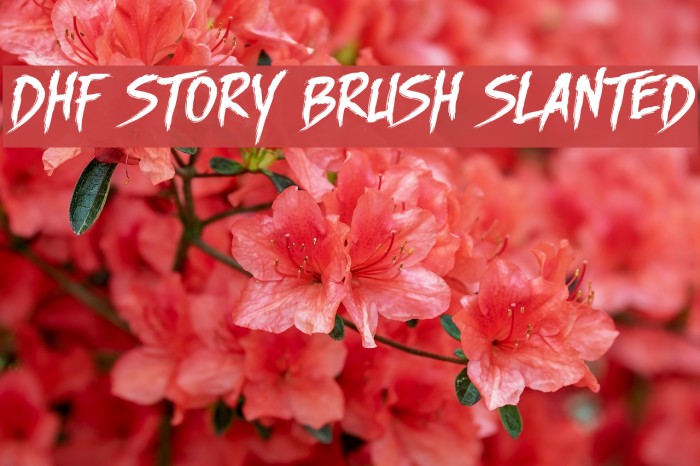 DHF Story Brush Slanted Font examples