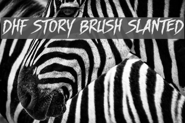 DHF Story Brush Slanted Font examples