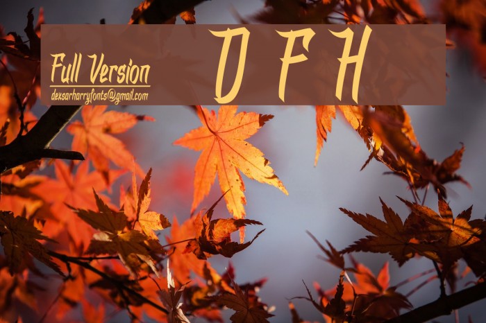 DHFDexgraffitiReturn Example 1