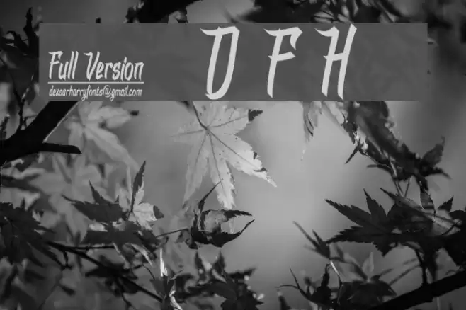 DHFDexgraffitiReturn Font examples