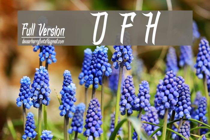 DHFDexgraffitiReturn Example 3