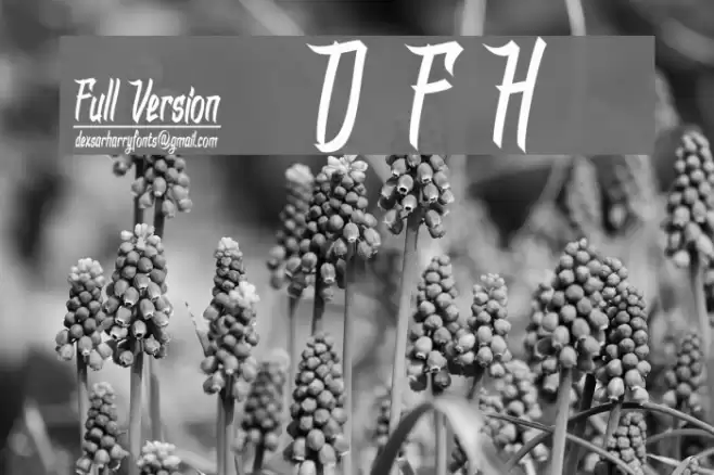 DHFDexgraffitiReturn Font examples