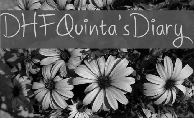DHFQuinta'sDiary Font examples