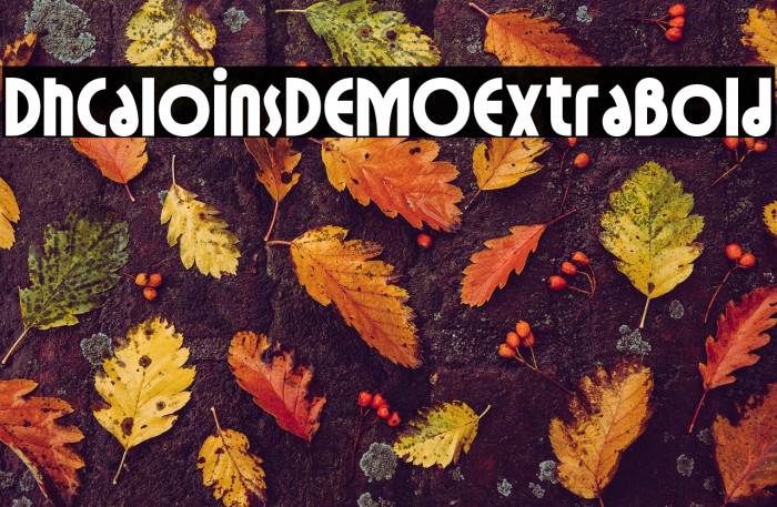Dh Caloins DEMO Extra Bold Example 1