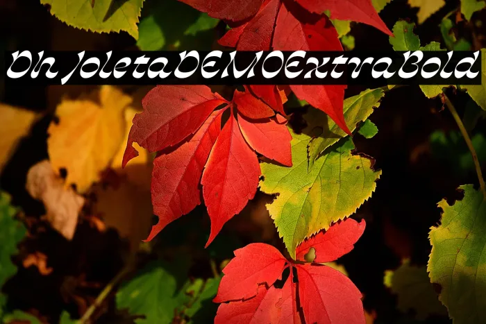 Dh Joleta DEMO Extra Bold Example 2