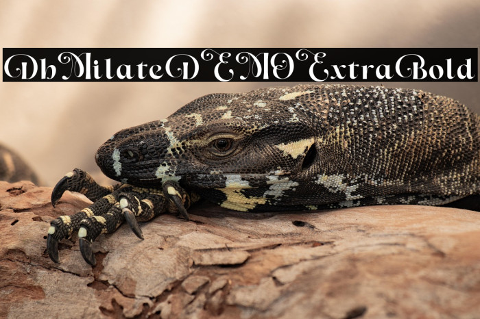 Dh Milate DEMO Extra Bold Example 3