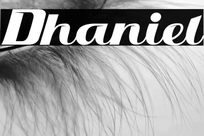 Dhaniel Example 2