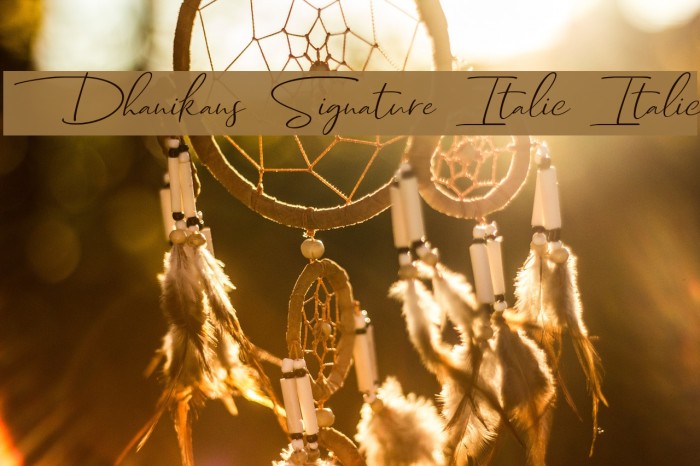 Dhanikans Signature Italic Italic Example 2