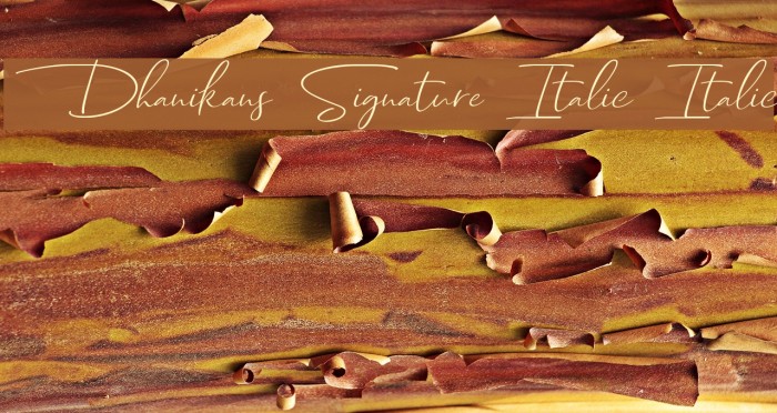 Dhanikans Signature Italic Italic Example 3