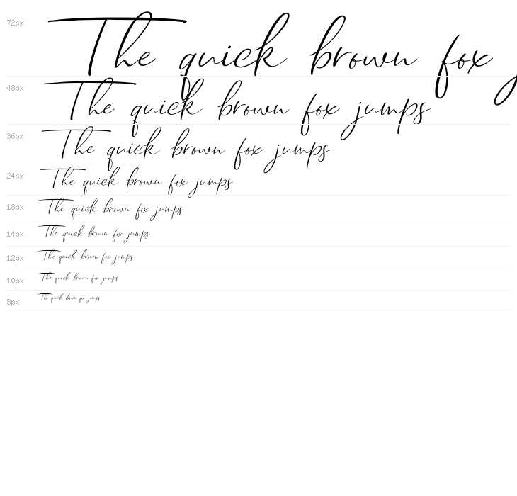 Dhanikans Signature Italic Italic Waterfall