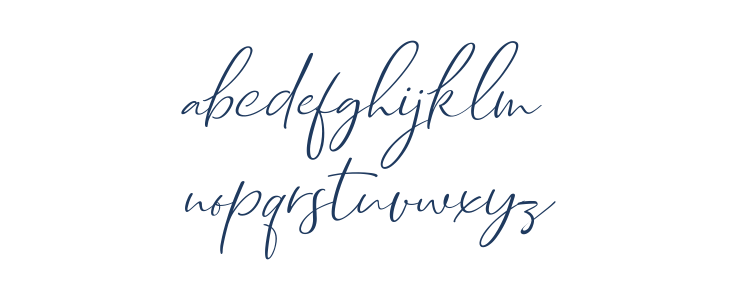 Dhanikans Signature Italic Italic Lowercase