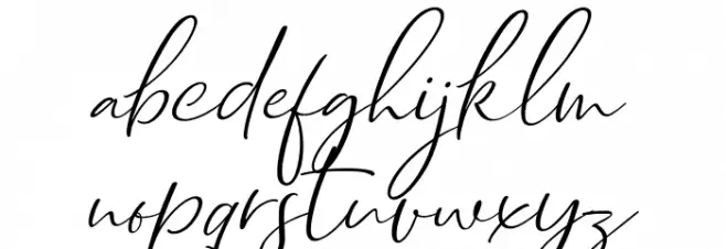 Dhanikans Signature Italic Italic フォント 小文字