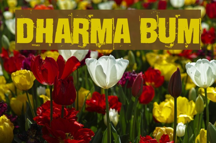 Dharma Bum Font examples