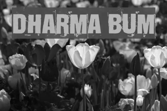 Dharma Bum Font examples