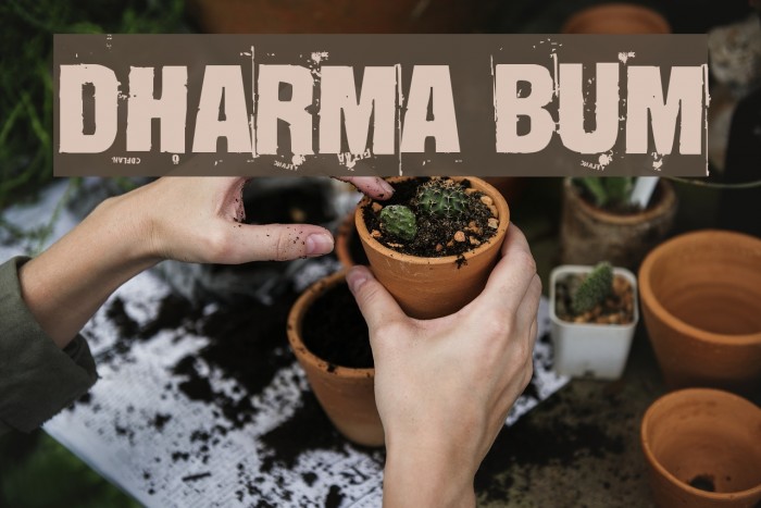 Dharma Bum Font examples