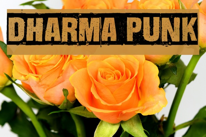 Dharma Punk Font examples