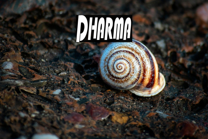 Dharma Example 1