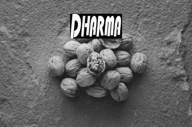 Dharma Caratteri examples