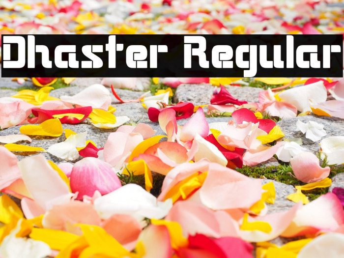 Dhaster Regular Example 1