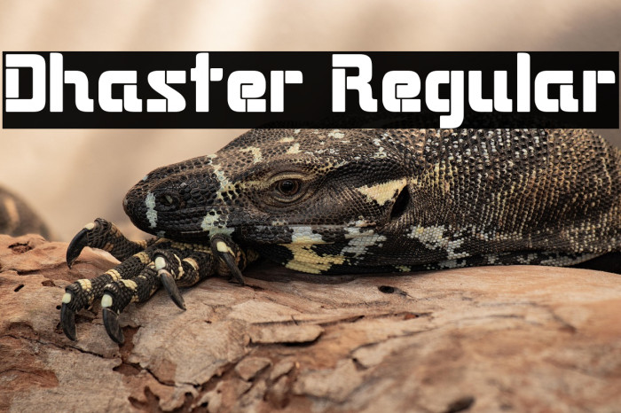 Dhaster Regular Example 3