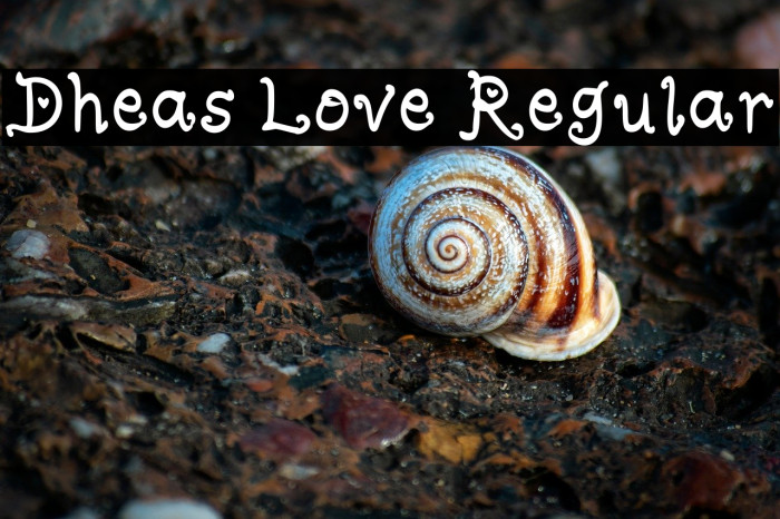 Dheas Love Regular Example 2