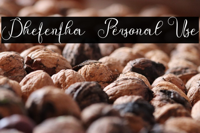 Dhefentha - Personal Use Example 1