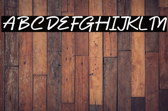 Dhel Fyn Italic Example 1