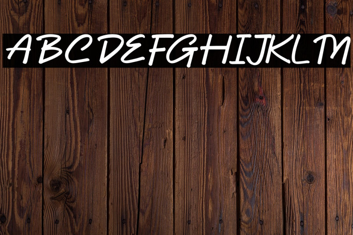 Dhel Fyn Italic Example 3