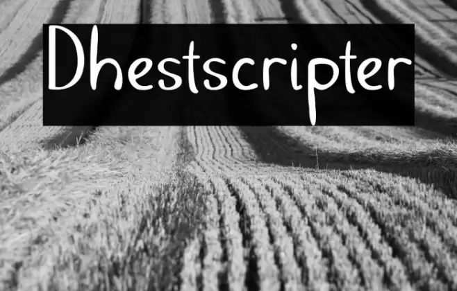 Dhestscripter Font examples