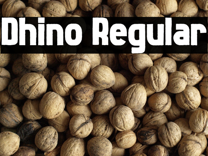 Dhino Regular Example 3