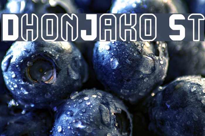 DhonJako St Example 1