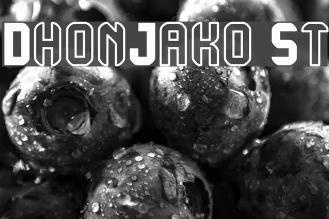 DhonJako St Font examples