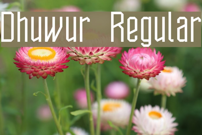 Dhuwur Regular Font examples
