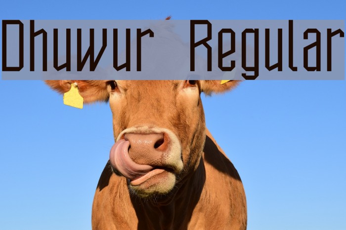 Dhuwur Regular Font examples