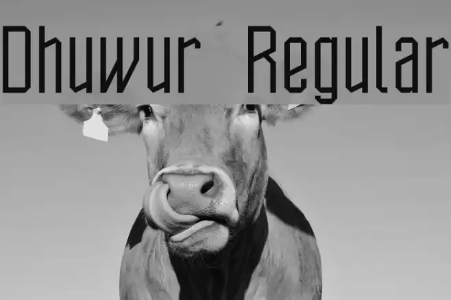 Dhuwur Regular Example 3