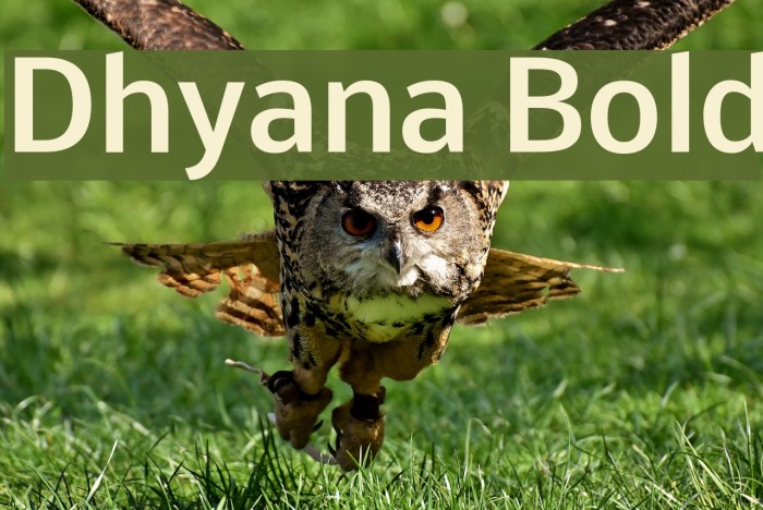 Dhyana Bold Font examples