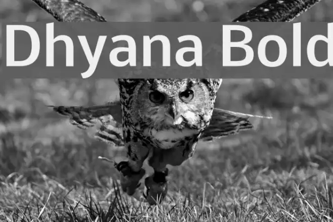 Dhyana Bold Example 1