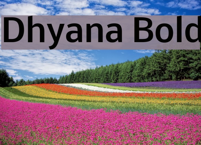 Dhyana Bold Font examples