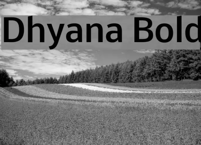 Dhyana Bold Example 2