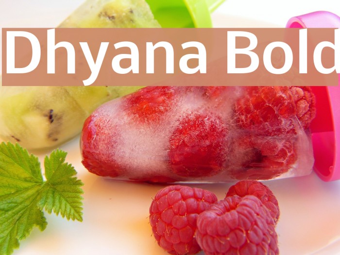 Dhyana Bold Font examples